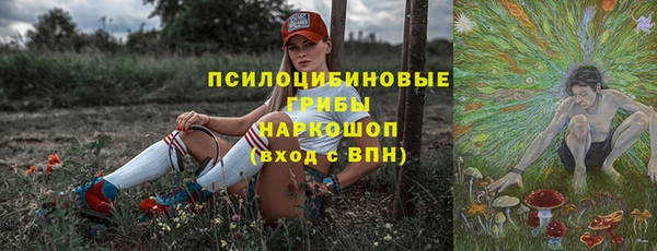 spice Абаза