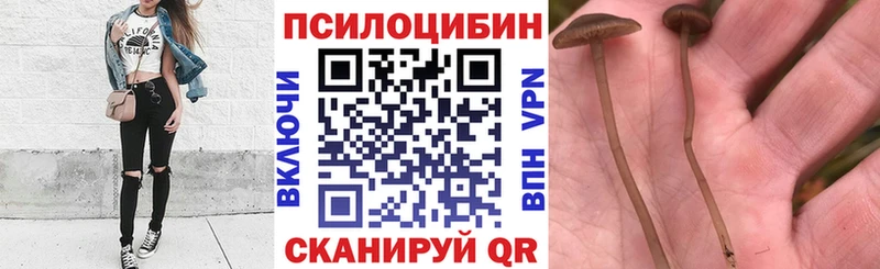 mega маркетплейс  Ряжск  Псилоцибиновые грибы Magic Shrooms 